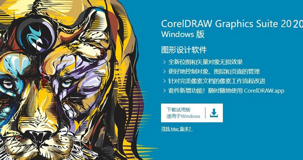 CorelDraw 2020ƽ