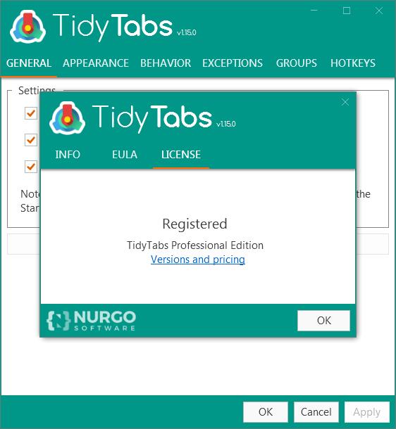 TidyTabs v1.3.0רҵ