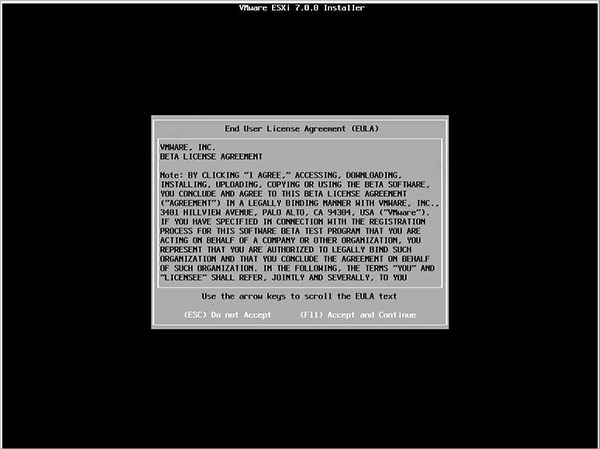 VMware Esxi v7.0.1°