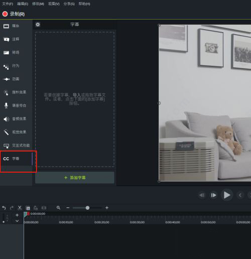 Camtasia Studio 2021İ