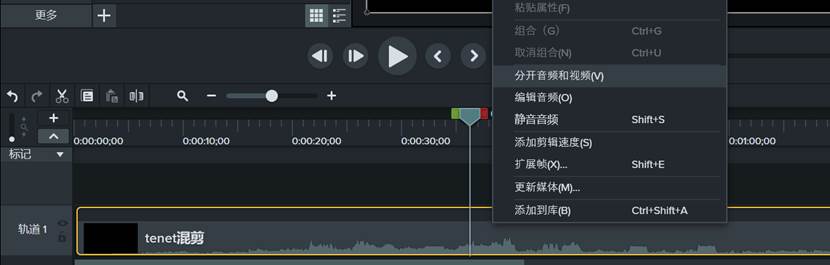 Camtasia Studio v2021.0.13.34107ƽ