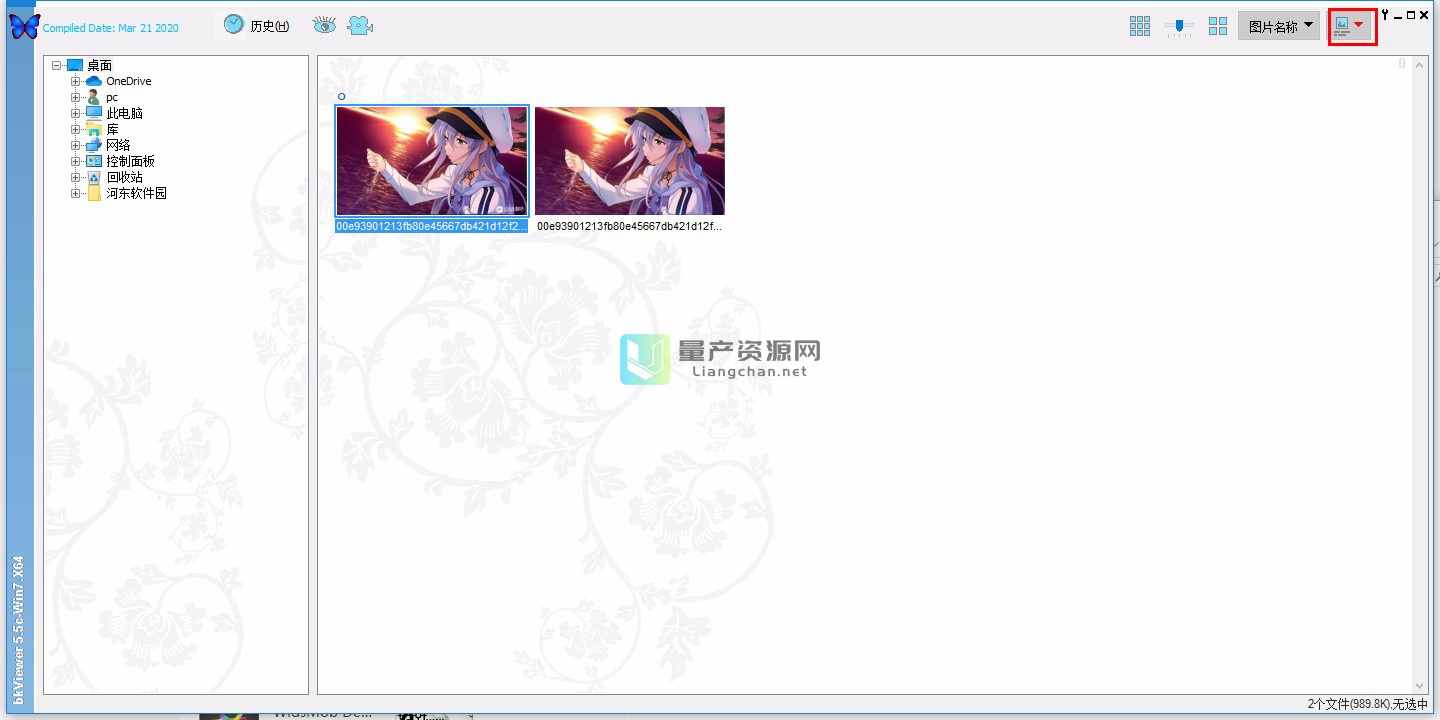 Ƭ(bkViewer) v5.5.5.0Ѱ