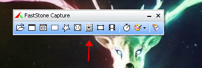 FastStone Capture(Ļͼ) 9.2