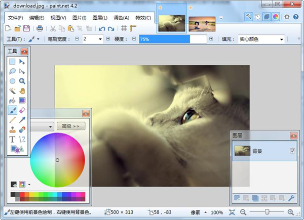 Paint.NET v4.2.14ɫ