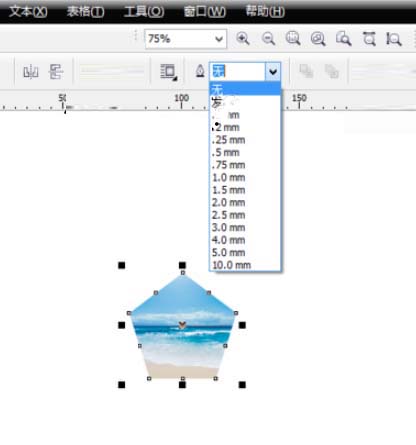 CorelDRAW 12ɫ