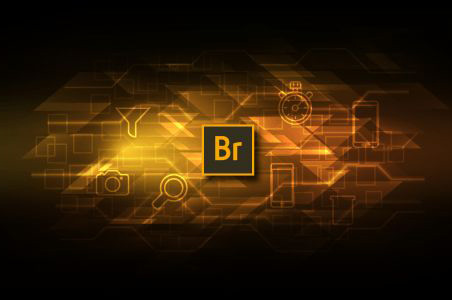 Adobe Bridge CC 2018İ