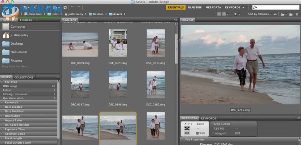 Adobe Bridge CC 2018İ