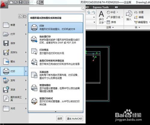 AutoCAD 2010İ