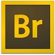 Adobe Bridge CC 2017ٷ ɫ