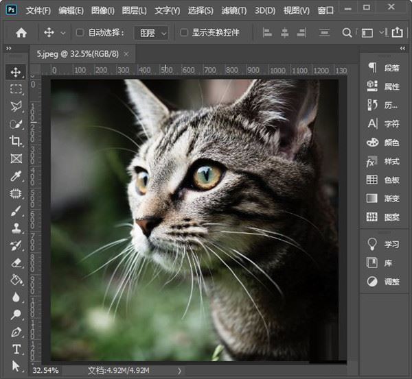 Adobe Photoshop v23.0.2.101°