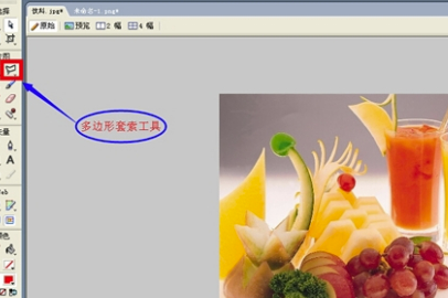 Adobe Fireworks CS6ʽ