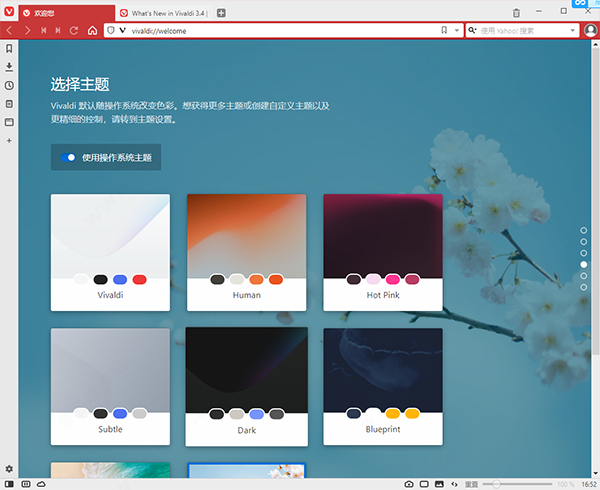 Vivaldi v4.1.2345.3ʽ