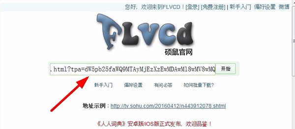 ˶(FLVƵ) v0.4.8.10