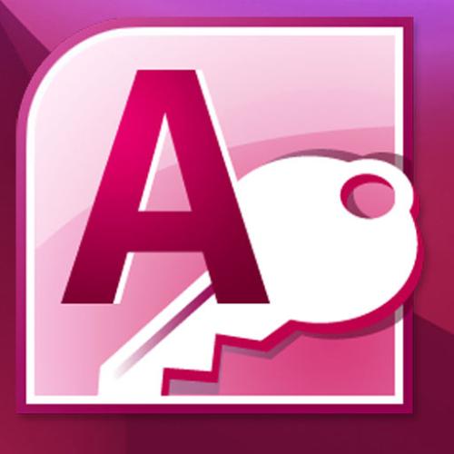 Microsoft Access 2010İ