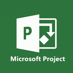 Microsoft Project 2021_Microsoft Projectɫ 