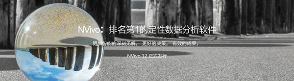 NVivo 12ƽ