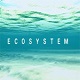 ̬ϵͳϷ_Ecosystemİٷ