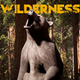 WildernessϷ_Wilderness ٷ