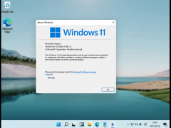 Win11_΢ Win11 iso V2021