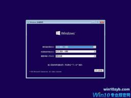 win10רҵ64λ win10