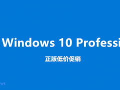 ŻݹWindows10湺