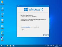 Win10_Win10 2004רҵ