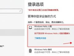 Win10Windows Helloòô죿