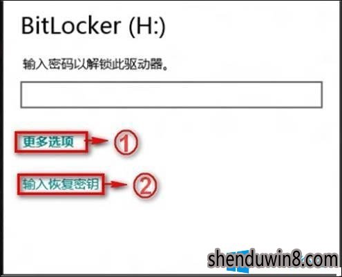 Win10 Bitlocker