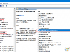 Win10 EdgeʾֹAbobe Flash