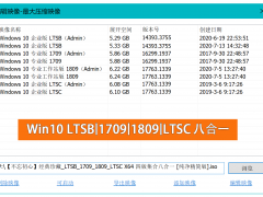  Win10 LTSB|1709|1809 iso