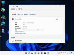 Win11Կȫ_Win11װԿ/к·