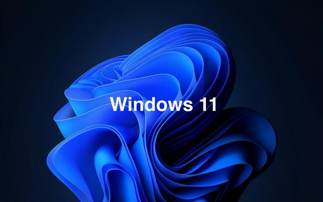 Win11ͥWin11רҵĸãʲô