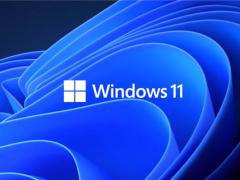 Win11_΢ԭ Microsoft Win11