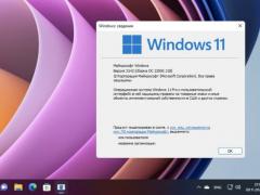 ΢ Win11 22000.318 ʽ V2021 ϵͳ