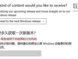 Win10ʯ4Ԥ΢InsiderûһԤ汾