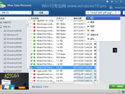 Win10Wise Data Recoveryݻָ