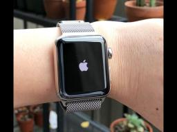 Apple Watchֵ©ʱ仯