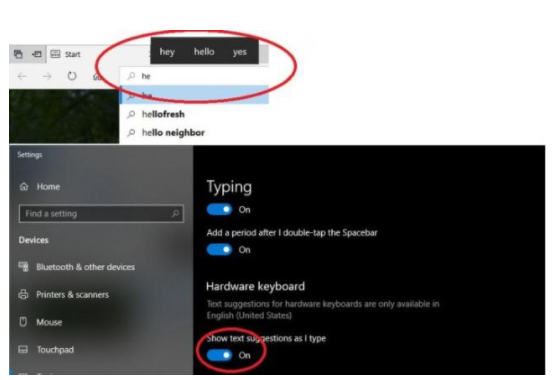 win10ϵͳChromeShow text suggestions as I type