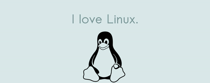 ŽѲϵͳǨƵLinuxwin10רҵ