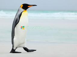 Win10Ԥ汾Ϊbuild 18917չʾµLinux