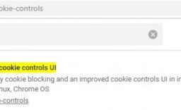 Chrome Canary°ǿcookiesơԤ