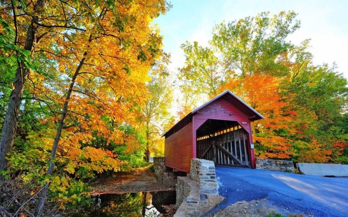 ΢ƳBridges in Autumnѱֽ