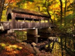 ΢ƳBridges in Autumnѱֽ