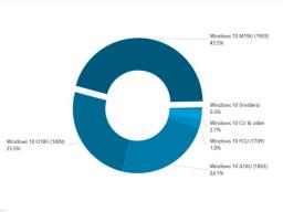 ΢Win10 1903°ݶ45%