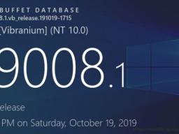 ΢Win10 20H1 Build 19008˹ػס