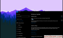 Win10 1809ͥ/רҵ潫Զװ Win10 1909