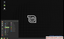 Linux Mint 19.3ʽ澵ͨ  ʥǰ