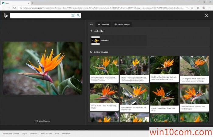 ΢Bing Visual Searchչ˲ϵwindows Search