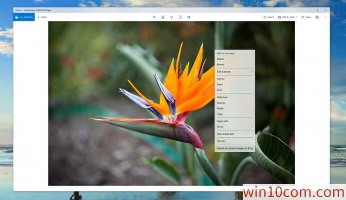 ΢Bing Visual Searchչ˲ϵwindows Search