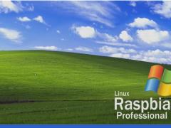 ݮ4װLinux Raspbian XPרҵ棺ʼ˵